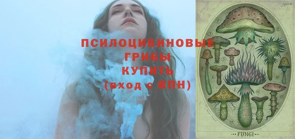 соль ск Алексеевка