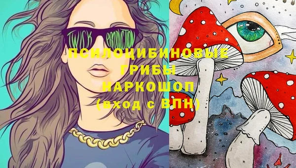 бошки Алексин