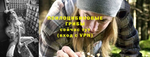 соль ск Алексеевка