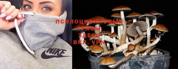 бошки Алексин