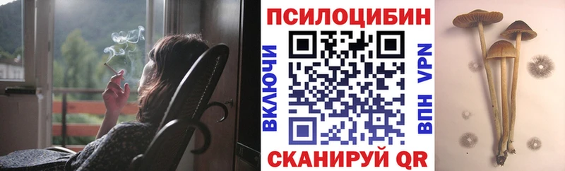 ОМГ ОМГ ТОР  Ардон  Псилоцибиновые грибы ЛСД 