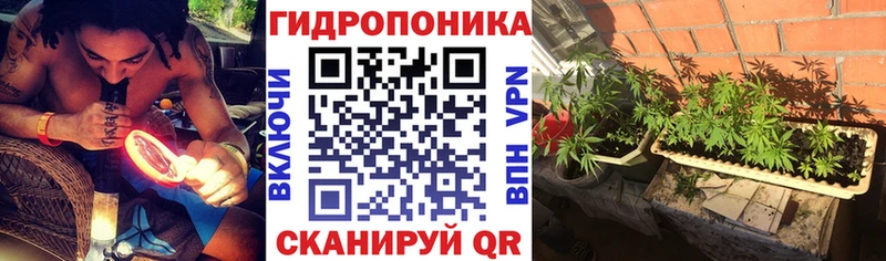 МАРИХУАНА семена  Ардон 